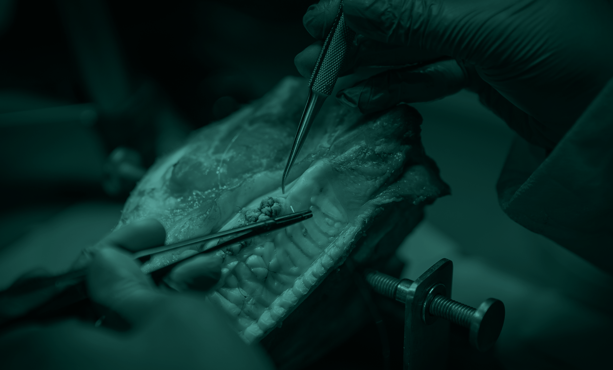 Periodontologia moduł 1 | kurs dla dentystów - Dental Day